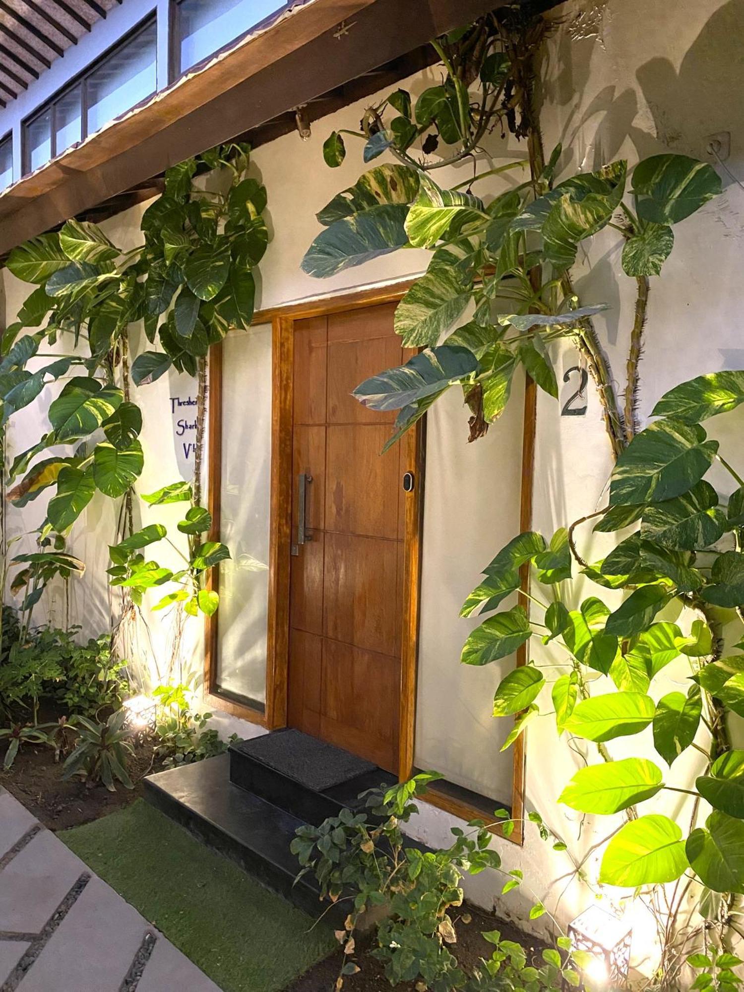 Stay Shark Villas غيلي آير المظهر الخارجي الصورة