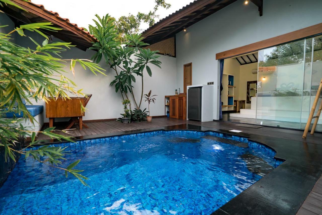 Stay Shark Villas غيلي آير المظهر الخارجي الصورة